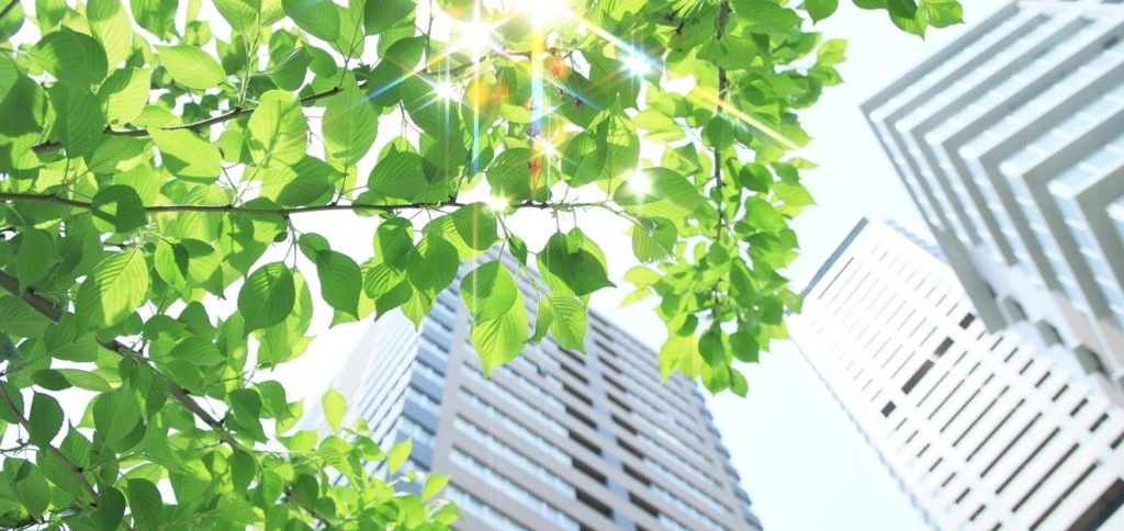 Italsan refuerza su compromiso con la sostenibilidad